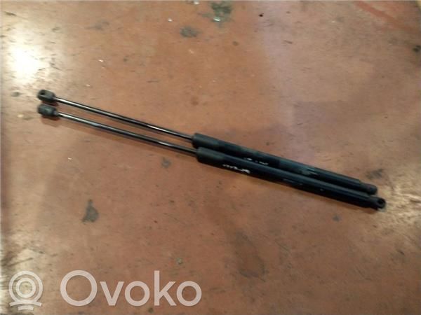 Tailgate/trunk/boot lid buffer   16A1
