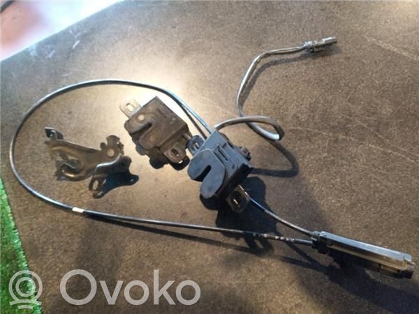 Tie down hook / loop   D87PHEV