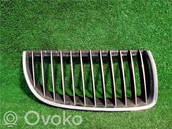 Front bumper lower grill   BM070181