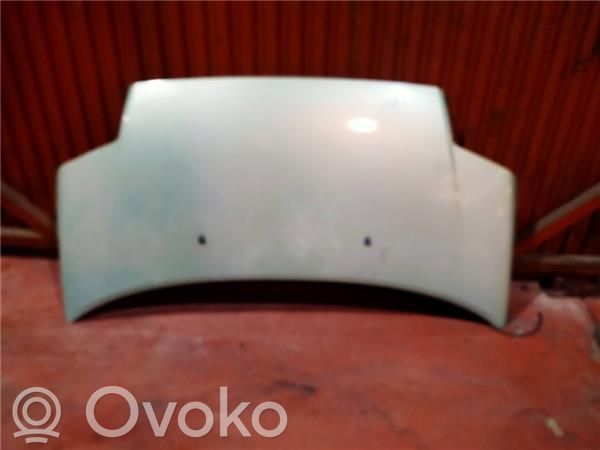Motorhaube   D8HZ