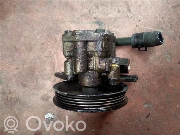 Ohjaustehostimen pumppu   GS6D