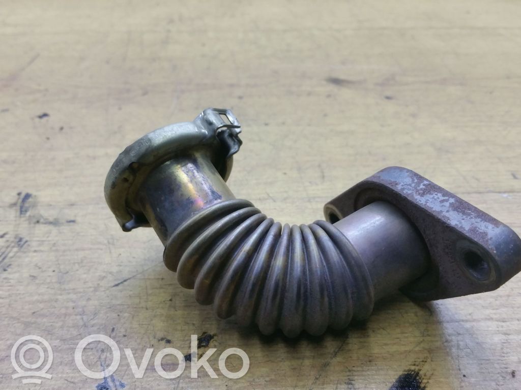 Ford Galaxy EGR vamzdelis (-iai)/ žarna (-os) 