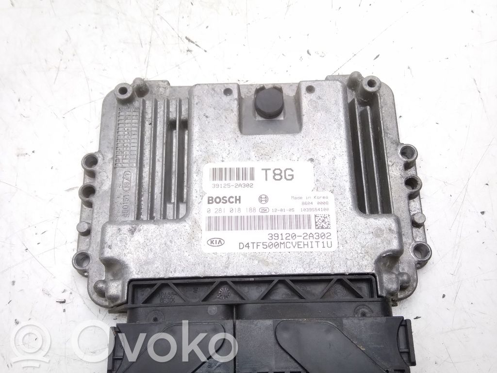 KIA Optima Engine control unit/module 