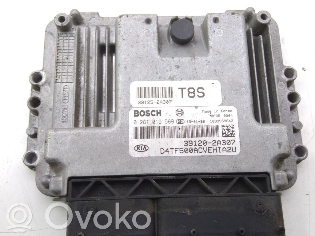 Engine control unit/module   0281019569,391202A307