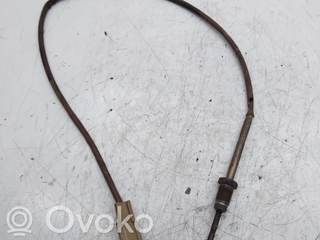 Renault Kadjar Izplūdes gāzu temperatūras sensors 