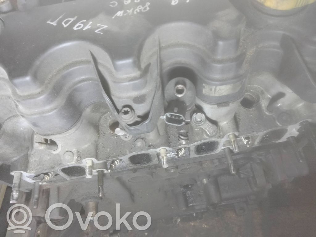Motor   Z19DT