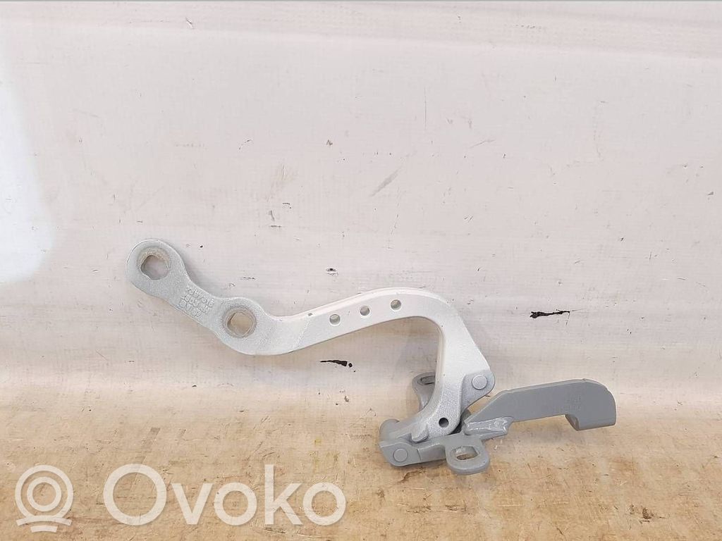 Tailgate/trunk/boot hinge   7397316,7494944,41007494944