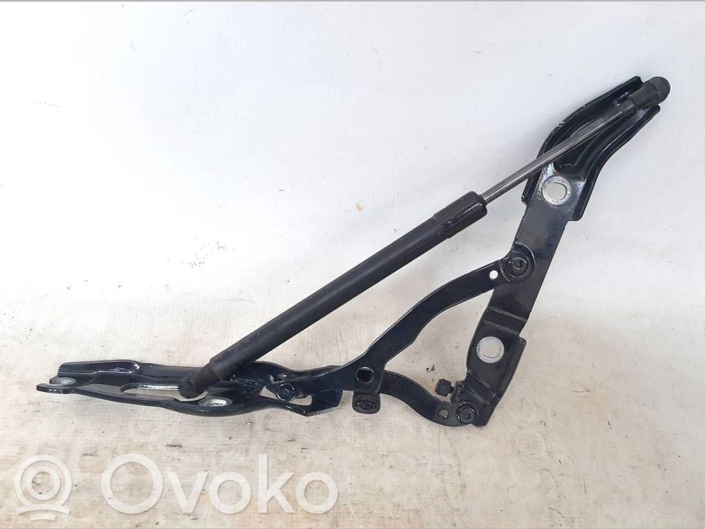BMW 2 F22 F23 Cerniera portellone posteriore/bagagliaio 