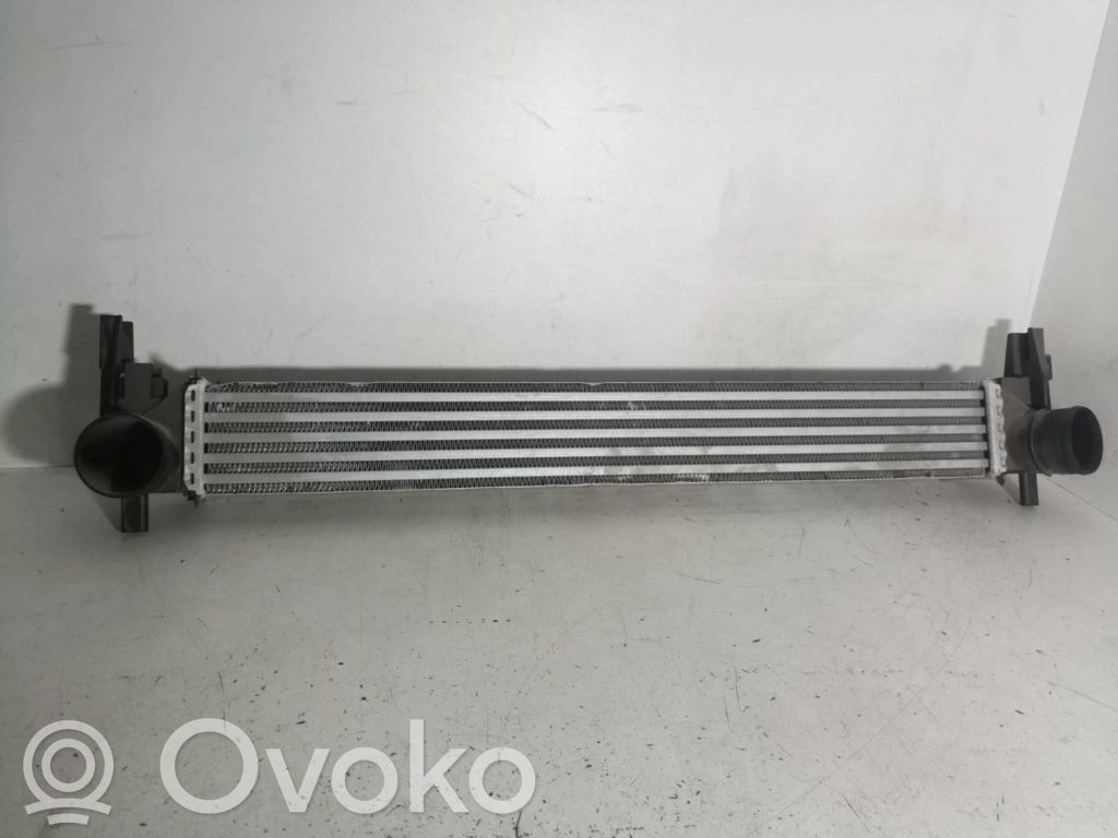 Seat Ibiza IV (6J,6P) Interkūlerio radiatorius 