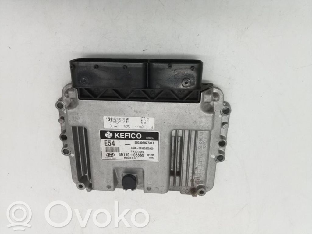 Engine control unit/module ECU   3911003865