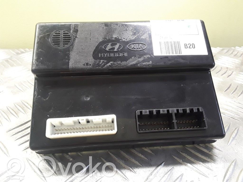 Other control units/modules   954201H000