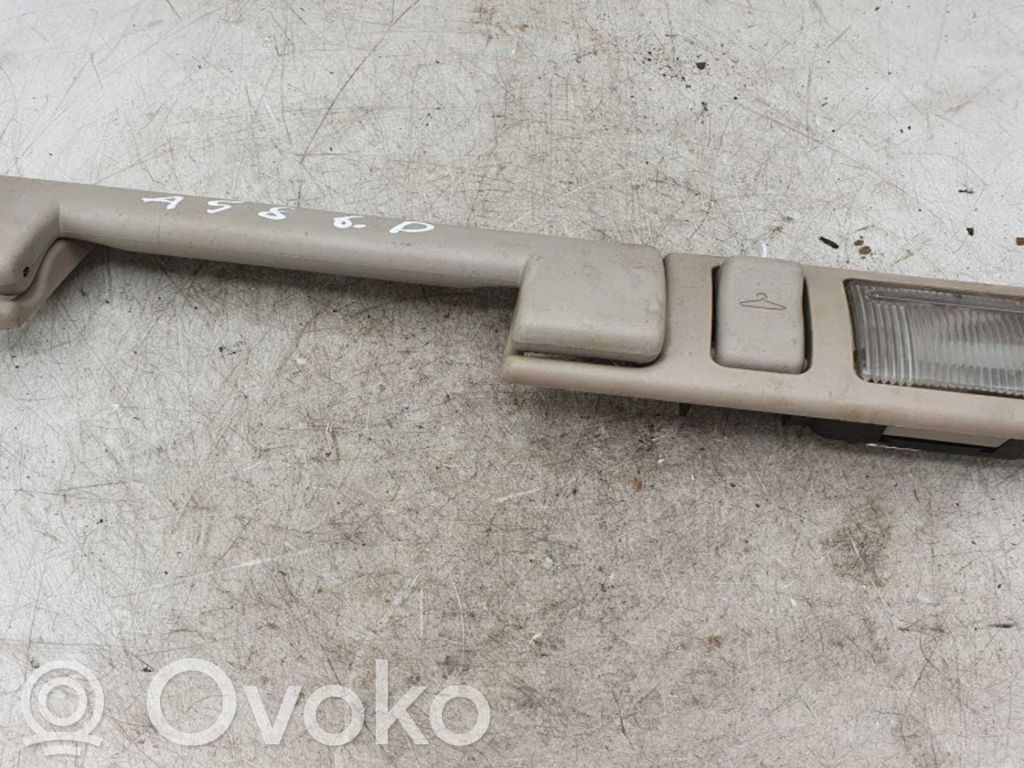 Chrysler Pacifica Haltegriff hinten 