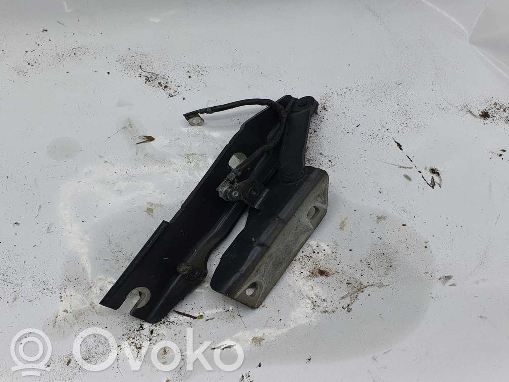 Engine bonnet/hood hinges   NOCODE