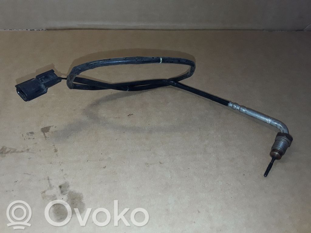 Abgastemperatursensor   226401704R