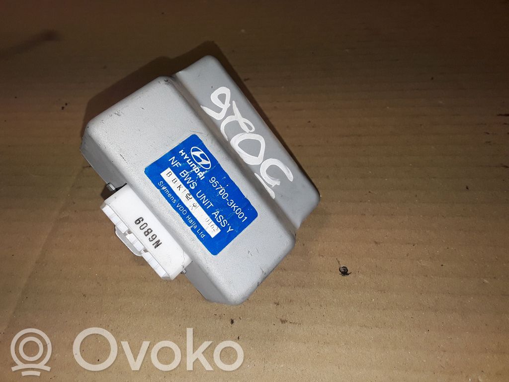 Hyundai Sonata Alte unități/module de control 