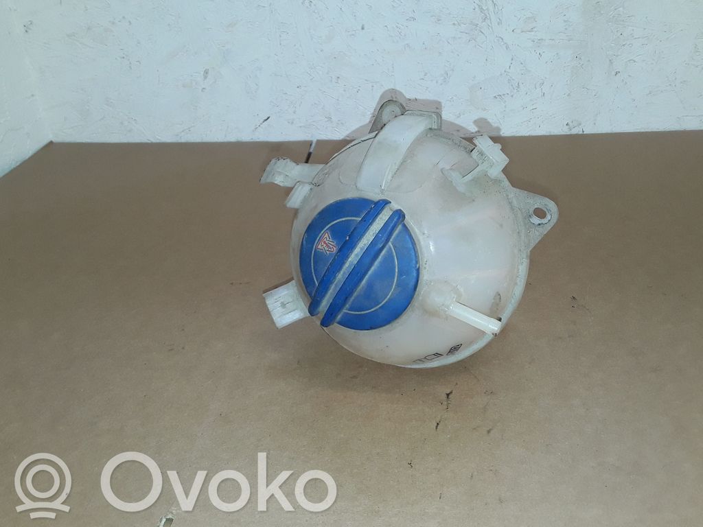 Skoda Yeti (5L) Vas expansiune/rezervor lichid de răcire 