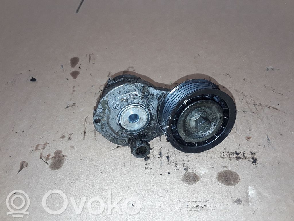 Opel Antara Întinzător curea generator/alternator 