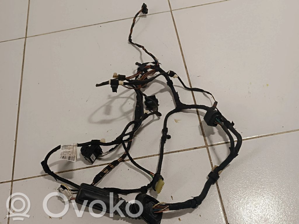 BMW X5 F15 Cableado de puerta delantera 