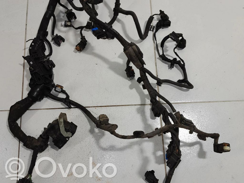 Cablaj motor   NOCODE