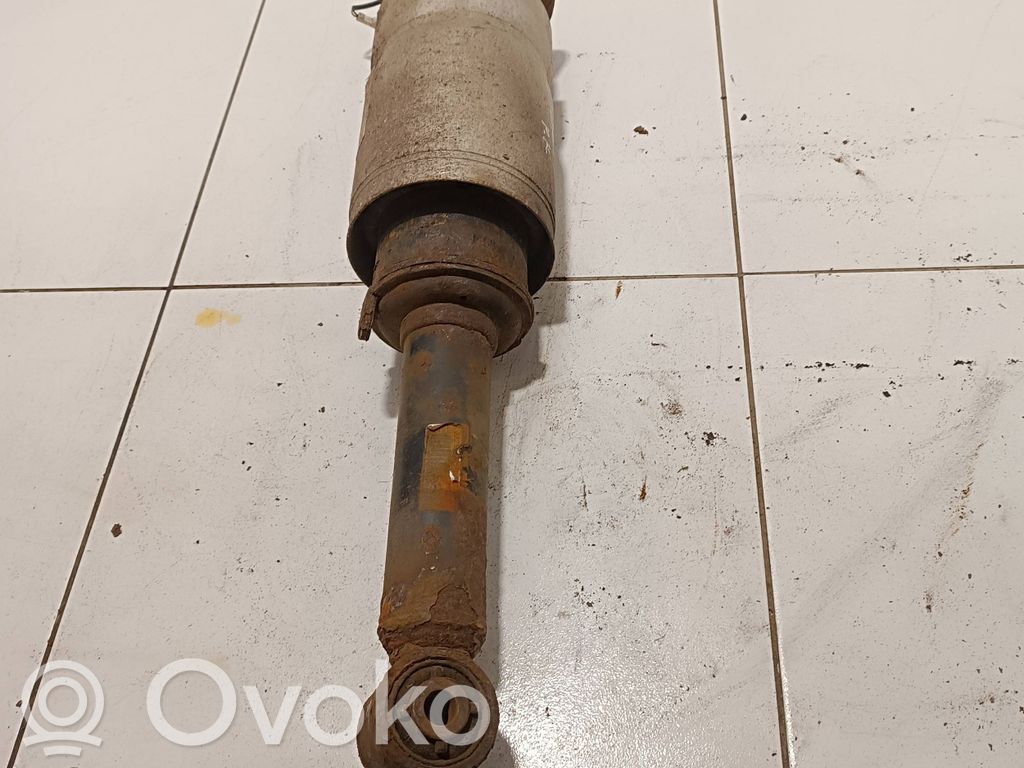 Land Rover Range Rover Sport L320 Ammortizzatore anteriore a sospensione pneumatica 