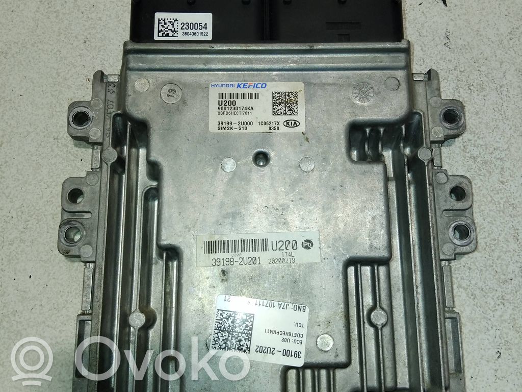 Engine control unit/module   391992U000,1C06217X,6043601522,9001230174KA,SIM2K510