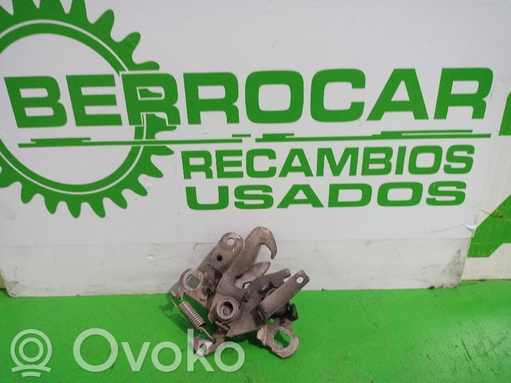Tie down hook / loop   96875380