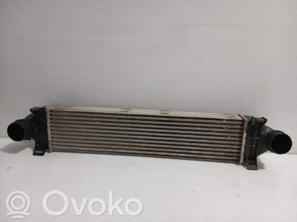 Land Rover Freelander 2 - LR2 Radiatore intercooler 