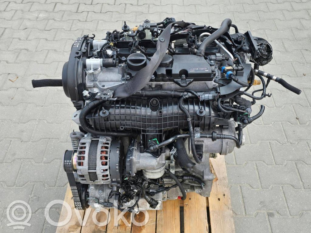 Kompletne silniki   280526KPLB4204T38,B4204T38