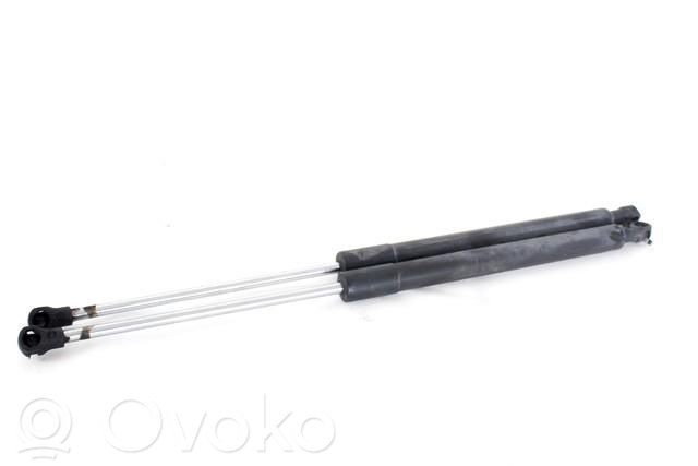 Konepellin kaasujousi   8200299546