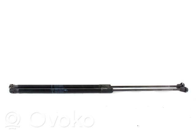 Renault Megane III Ammortizzatore portellone anteriore/cofano 