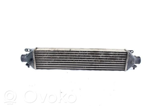 Fiat Bravo Radiator intercooler