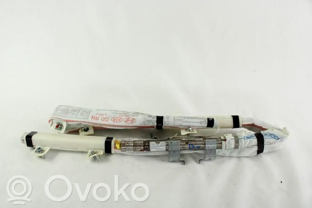 Airbag del techo   85020A6000
