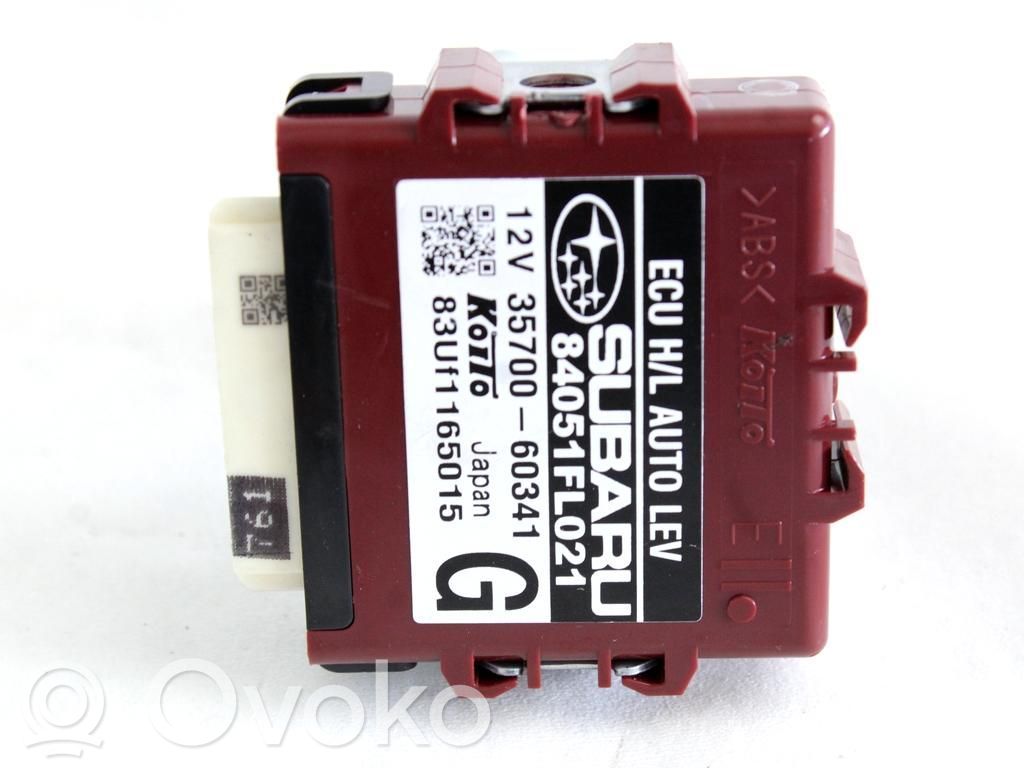 Module d'éclairage LCM   84051FL021