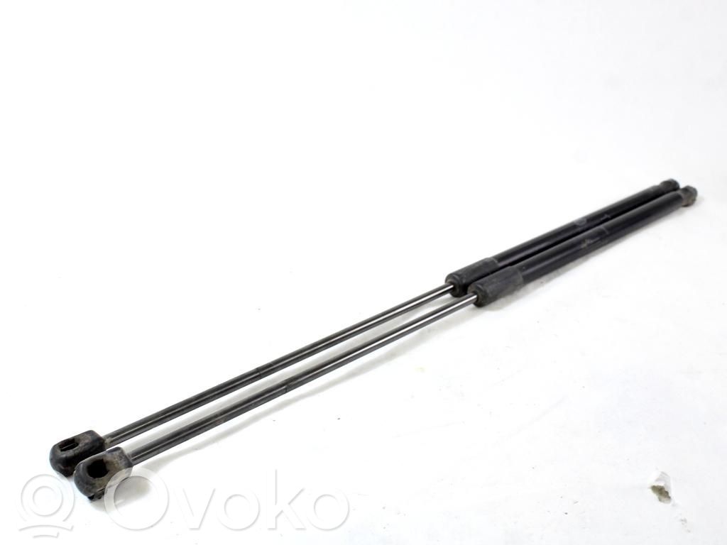 Land Rover Range Rover Evoque L538 Ammortizzatore portellone anteriore/cofano