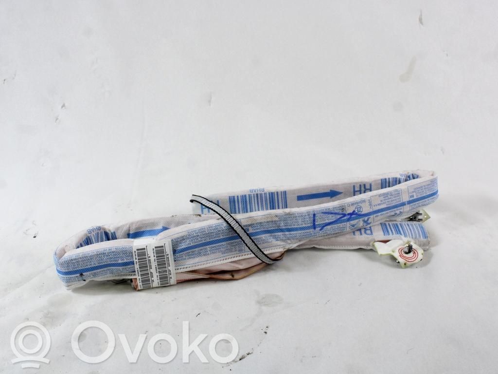 Airbag del techo   981185798