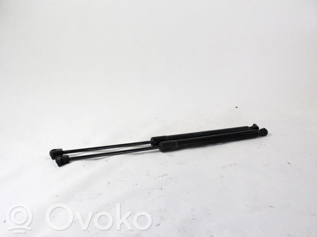 Volkswagen Tiguan Amortizor capotă motor