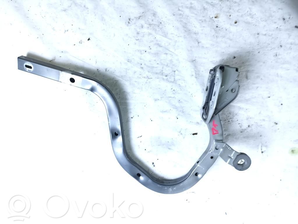Jaguar S-Type Tailgate/trunk/boot hinge 