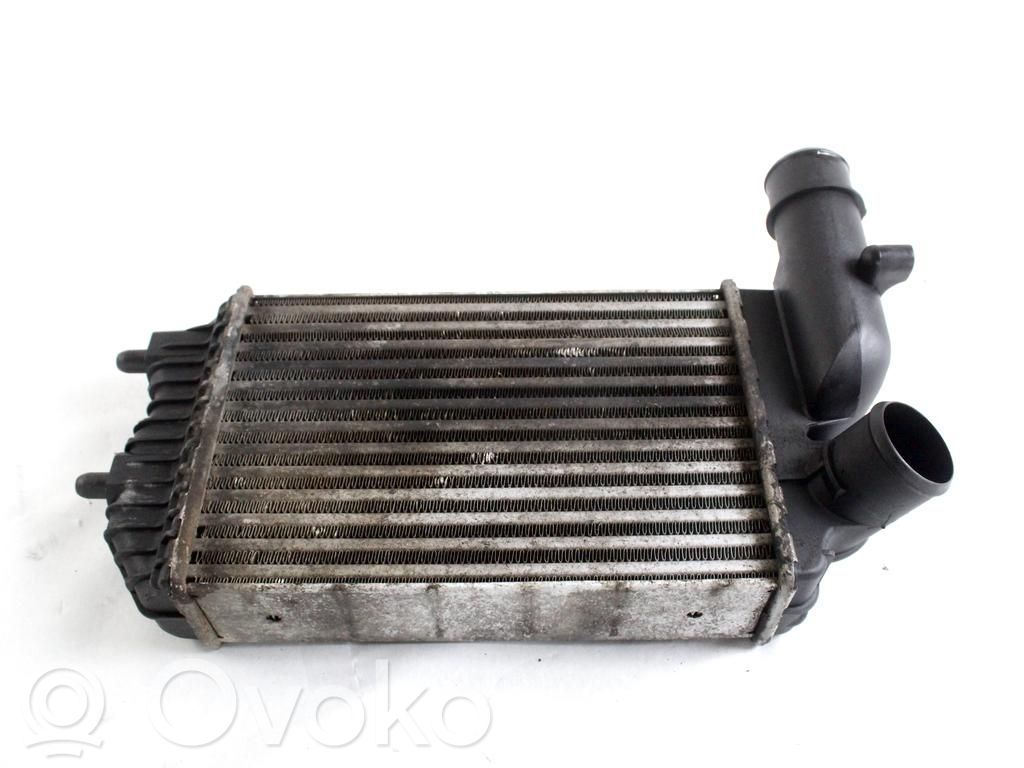Radiador intercooler   1307012080