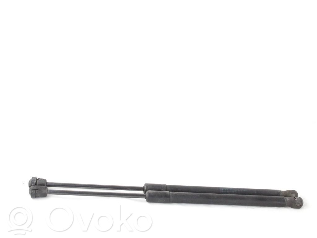 Fiat Sedici Ammortizzatore portellone anteriore/cofano 