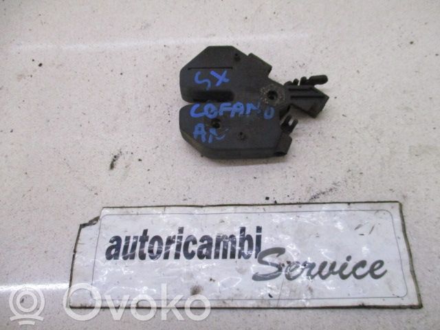 Serrure de capot   31218475