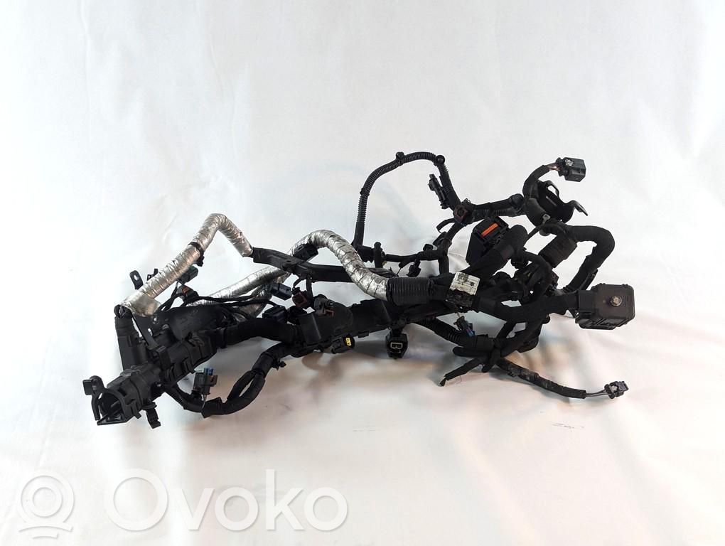Audi Q8 Cablaj motor 