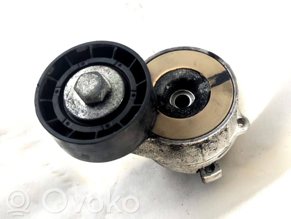 Citroen Berlingo Tendicinghia generatore/alternatore