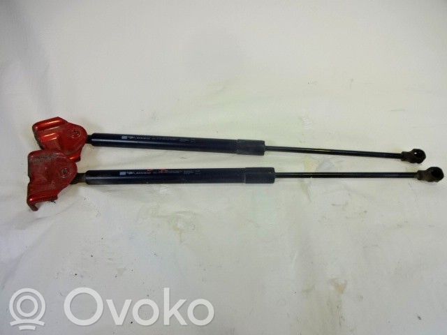 Renault Clio IV Ammortizzatore portellone anteriore/cofano