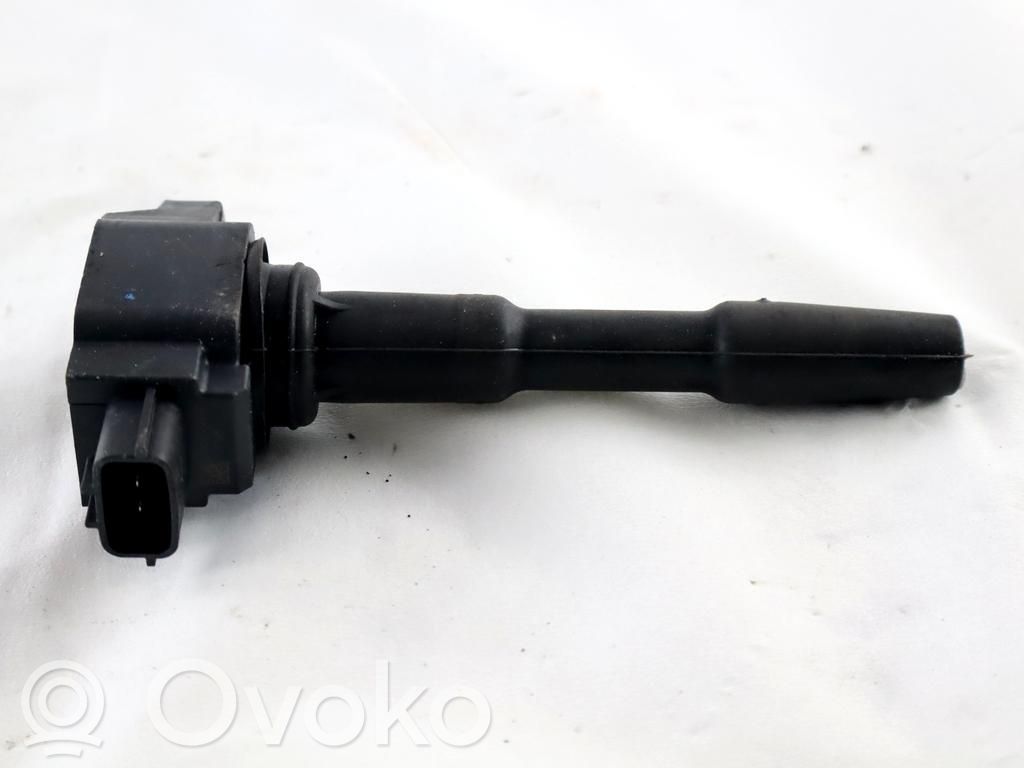 Bobina de encendido de alto voltaje   224332428R