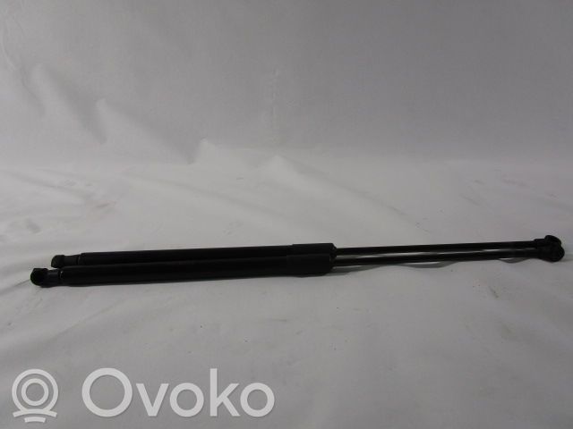 Nissan Qashqai Amortizor capotă motor