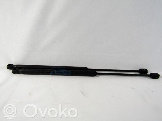 Konepellin kaasujousi   46817935