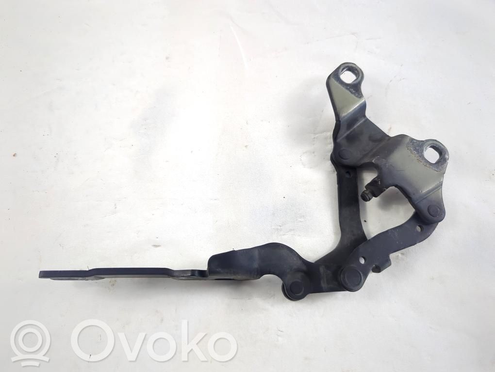 Scharnier Motorhaube   7115264