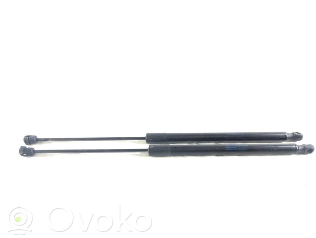 Fiat Tipo Front bonnet/hood damper/strut 