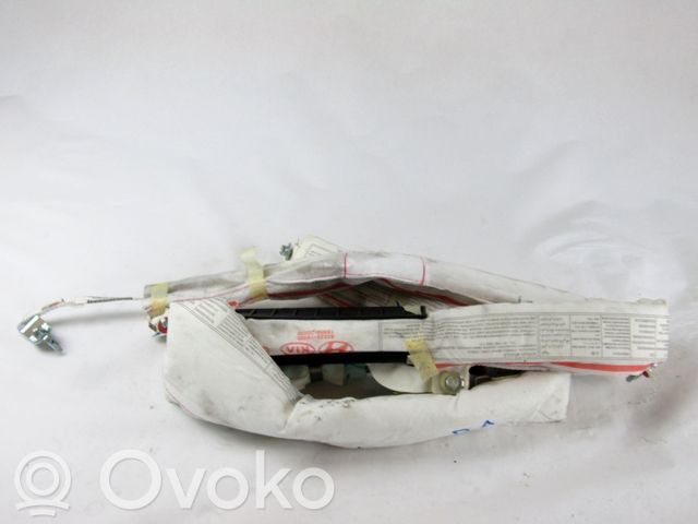 Airbag del techo   850201W000