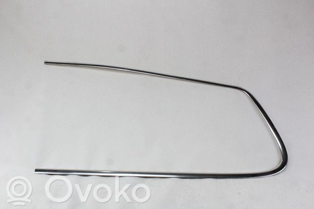 Volkswagen PASSAT B6 Ornament parbriz